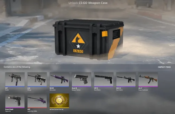 CS:GO Weapon Case