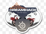 souvenir DreamHack Winter 2013